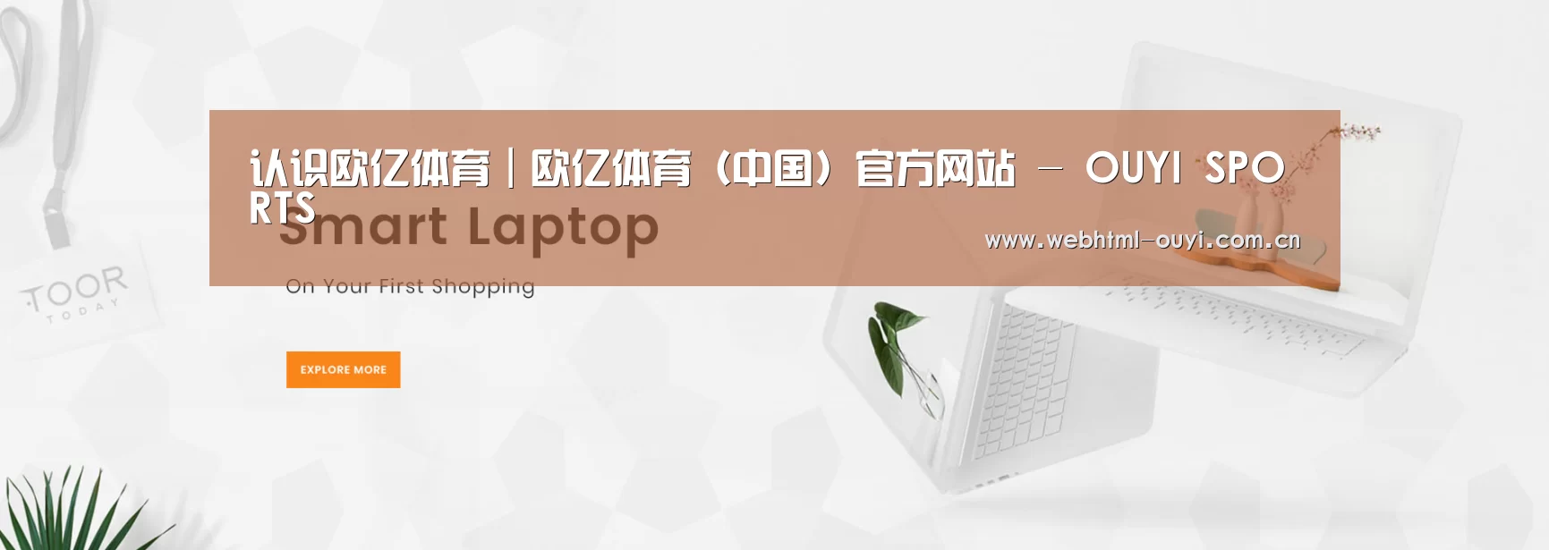 某某网络科技有限公司
