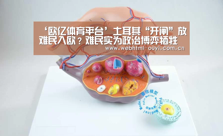 ‘欧亿体育平台’土耳其“开闸”放难民入欧?难民实为政治博弈牺牲品(图2) 欧亿体育
