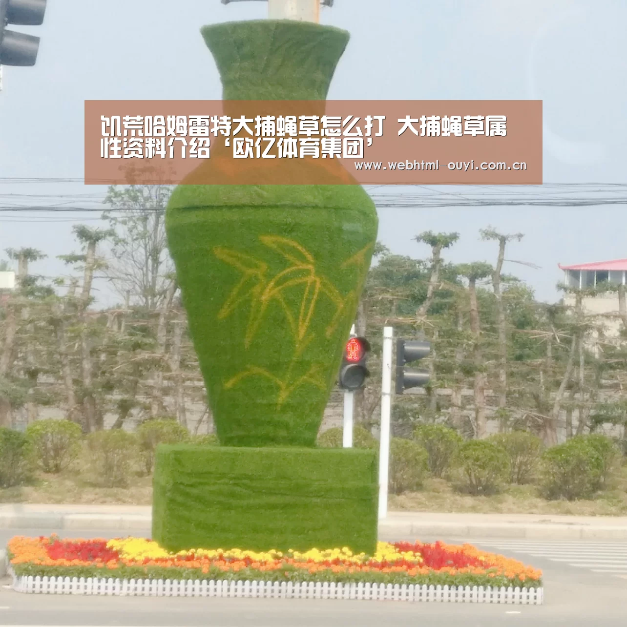 欧亿体育公司